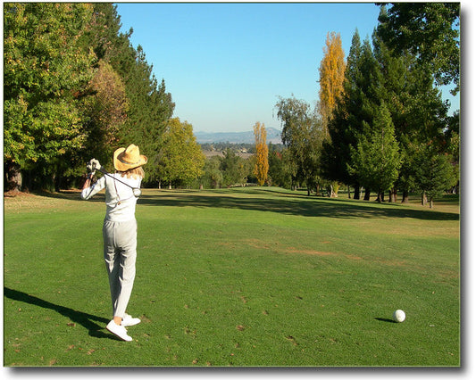 Golf Club Ferrule Replacement for Your Bag